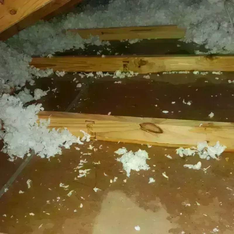 Attic Water Damage in Tomah, WI