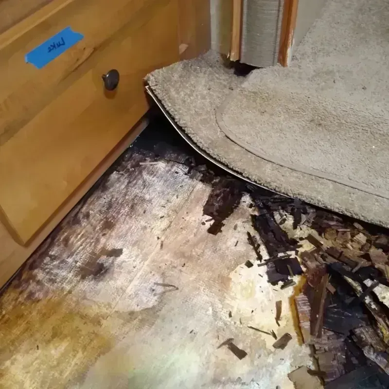 Best Wood Floor Water Damage Service in Tomah, WI